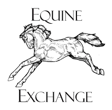 uvex equestrian usa retailer equine exchange